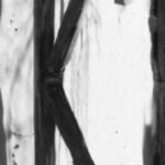 The Letter k_1 - Black & White