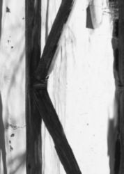 The Letter k_1 - Black & White