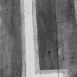 The Letter l_10 - Black & White