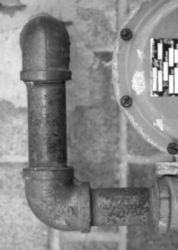 The Letter l_1 - Black & White