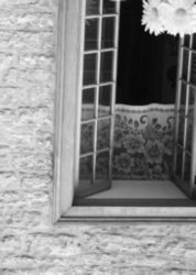 The Letter l_5 - Black & White