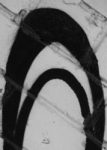 The Letter n_4 - Black & White