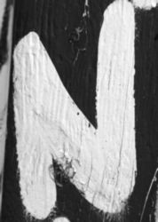 The Letter n_9 - Black & White
