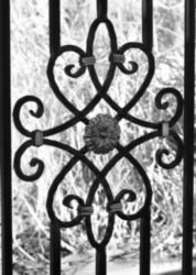 The Letter o_10 - Black & White