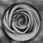 The Letter o_17 - Black & White