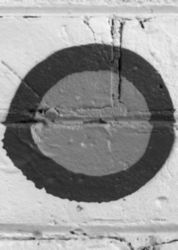 The Letter o_2 - Black & White