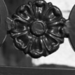 The Letter o_5 - Black & White