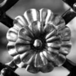 The Letter o_9 - Black & White