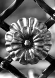 The Letter o_9 - Black & White