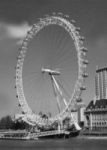 The Letter o_london - Black & White