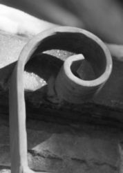 The Letter q_2 - Black & White