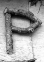 The Letter p_8 - Black & White