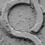 The Letter q_3 - Black & White