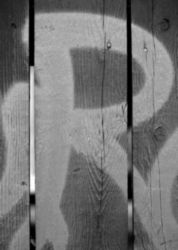 The Letter r_11 - Black & White