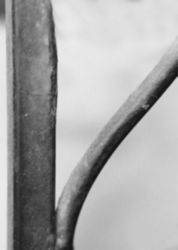 The Letter r_6 - Black & White