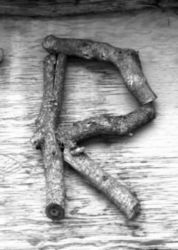 The Letter r_8 - Black & White