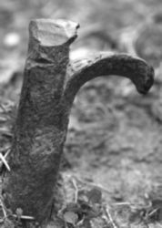 The Letter r_9 - Black & White