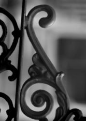 The Letter s_11 - Black & White