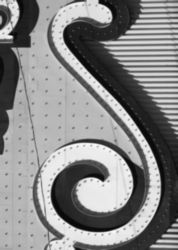The Letter s_5 - Black & White