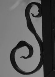 The Letter s_7 - Black & White