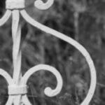 The Letter s_8 - Black & White