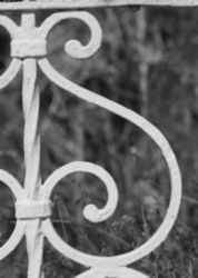 The Letter s_8 - Black & White