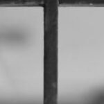 The Letter t_10 - Black & White