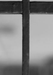 The Letter t_10 - Black & White