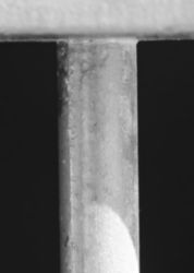 The Letter t_9 - Black & White