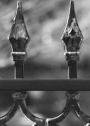 The Letter u_5 - Black & White