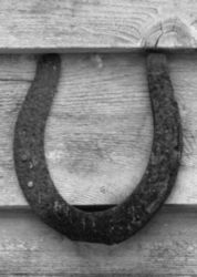 The Letter u_8 - Black & White