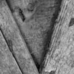 The Letter v_10 - Black & White