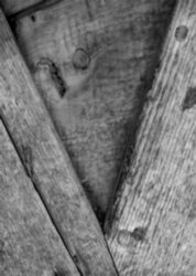 The Letter v_10 - Black & White