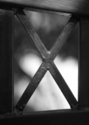 The Letter x_4 - Black & White