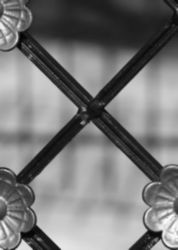 The Letter x_5 - Black & White