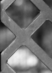 The Letter x_6 - Black & White