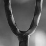 The Letter y_2 - Black & White