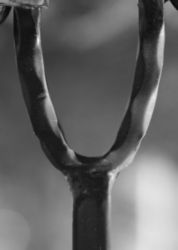 The Letter y_2 - Black & White