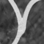 The Letter y_5 - Black & White