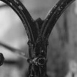 The Letter y_7 - Black & White