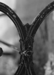 The Letter y_7 - Black & White