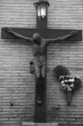 The Letter t_r_1_r - Black & White