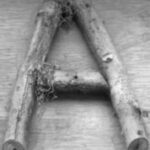 The Letter a_10 - Accent - Black & White