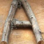 The Letter a_10 - Accent - Color