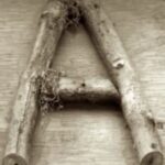 The Letter a_10 - Accent - Sepia Tone