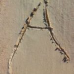 The Letter a_11 - Caribbean - Color