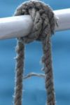 The Letter a_9 - Caribbean - Color