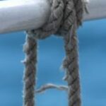 The Letter a_9 - Caribbean - Color