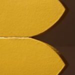 The Letter b-1- Kids