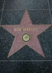 Hollywood Stars - Bob_Marley